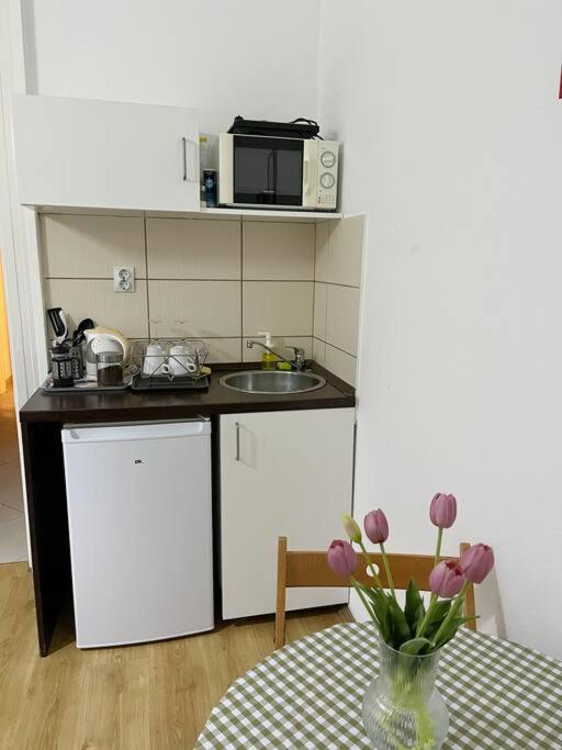 1#Parliament Sunflower Apartments Room ブダペスト エクステリア 写真
