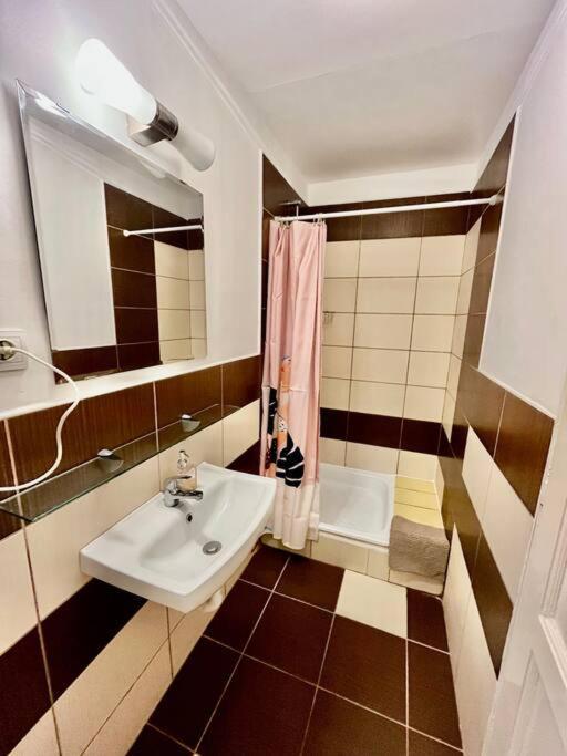 1#Parliament Sunflower Apartments Room ブダペスト エクステリア 写真